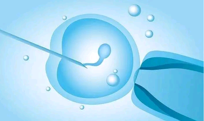 嘉兴供卵中介费用 嘉兴妇幼保健院试管婴儿医生评价 ‘孕四个月肚型看男女’