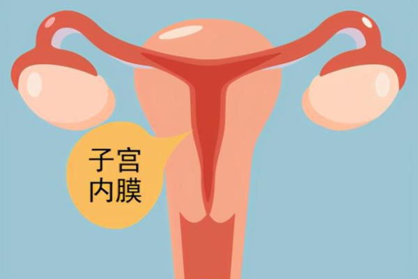 武汉供卵机构有吗 武汉试管婴儿哪个医院最好 ‘怀孕三个月肚型看男女’