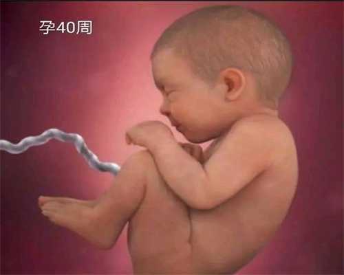 公立医院供卵费用_武汉不来月经可以供卵吗_国内可以代孕吗，30万包生儿子