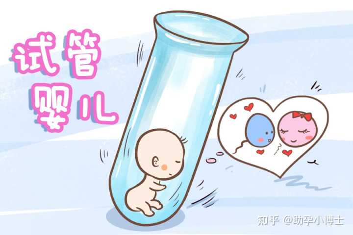 现在武汉的医院做试管婴儿成功率多少，费用大概多少